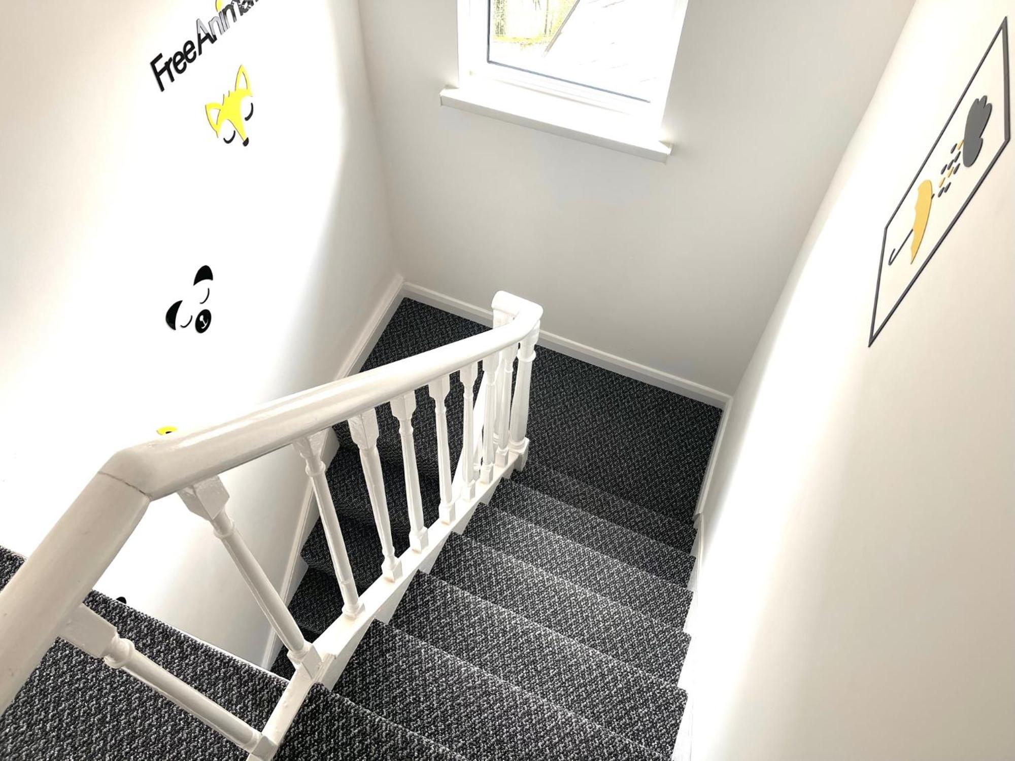 Entire Yellowapt Near Belfast City Centre - Free Parking - Up To 3 Guests - 2 Beds Ngoại thất bức ảnh
